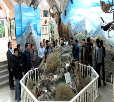 Das Naturwissenschaftliche Museum von Yazd: Lernen durch Besuch eines sehenswerten Museums