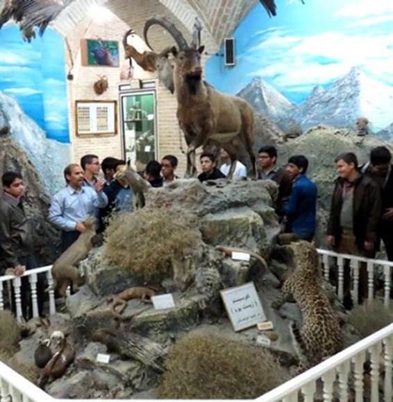 Das Naturwissenschaftliche Museum von Yazd: Lernen durch Besuch eines sehenswerten Museums
