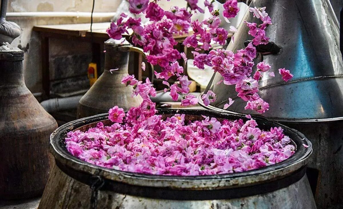 Rosenwasser-Festivals zur Feier des Rosenwasser-Erbes