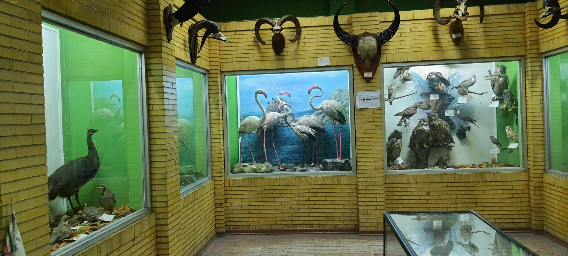 Naturhistorisches Museum Tabriz: Ein Ort zum Kennenlernen der Natur im Nordosten Irans