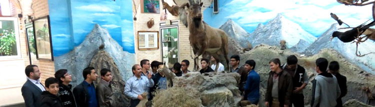 Das Naturwissenschaftliche Museum von Yazd: Lernen durch Besuch eines sehenswerten Museums